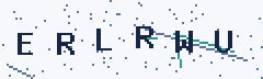 CAPTCHA security code